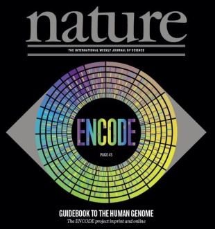 Nature Encode cover