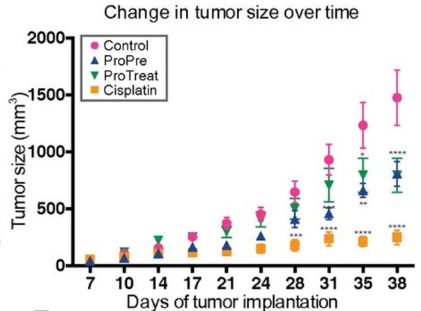 Fig 1 Li-Fig1B tumor size - days tumor